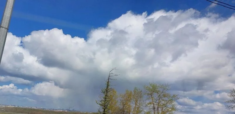 Такое разное небо