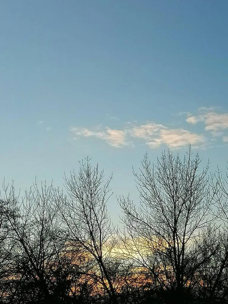 Такое разное небо