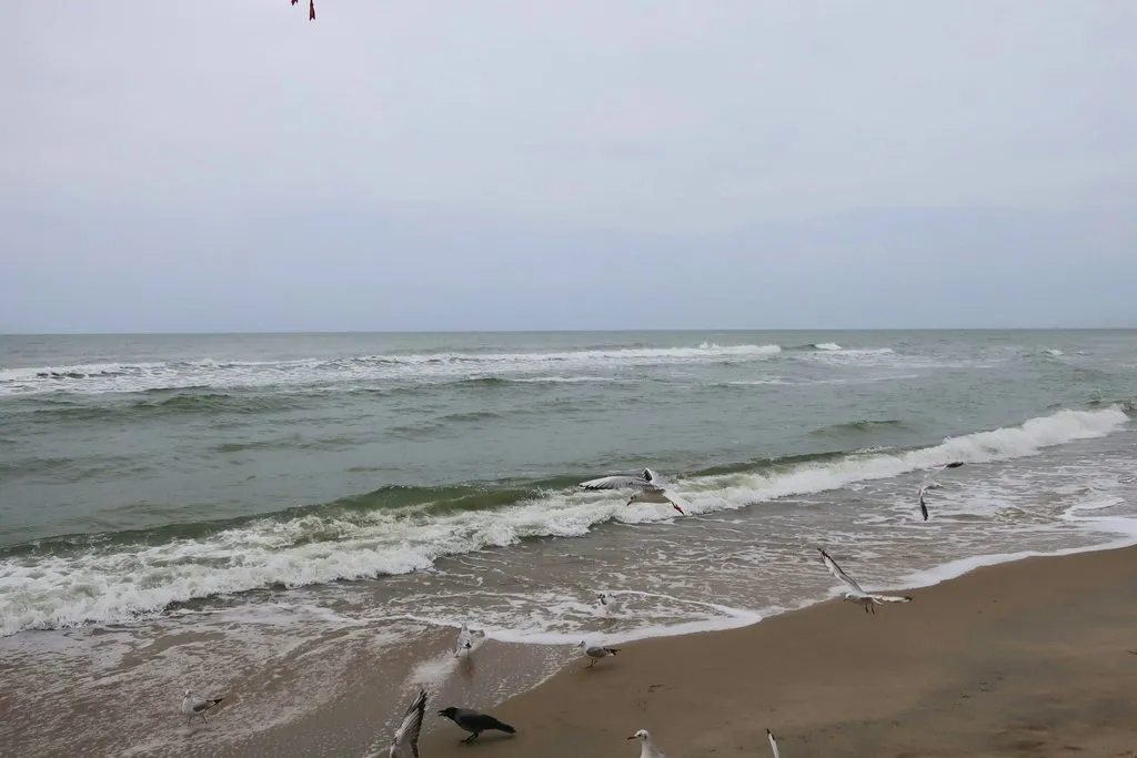 Ну здравствуй, Калининград! 35 лет спустя