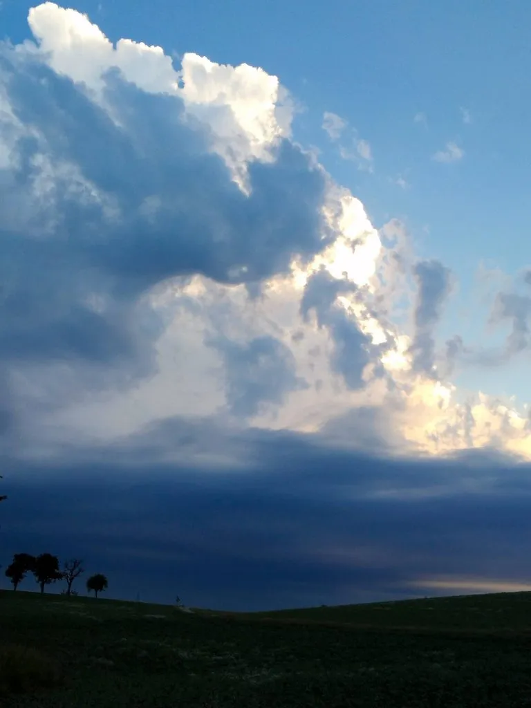 Чайная беседка