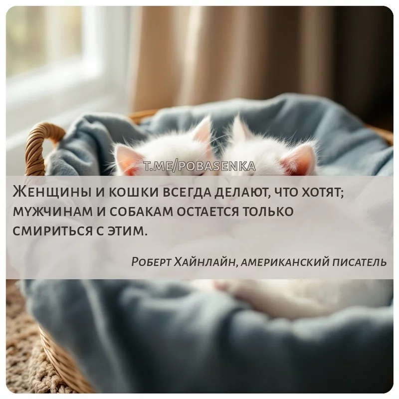 «Женщины и кошки всегда делают, что хотят мужчинам и собакам остается...» height="550" width="550"