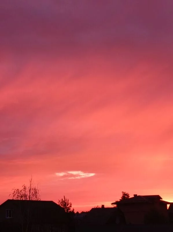 Такое разное небо