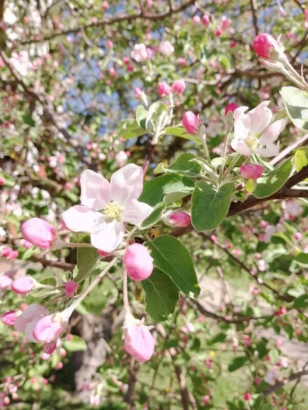 Фотонастроение