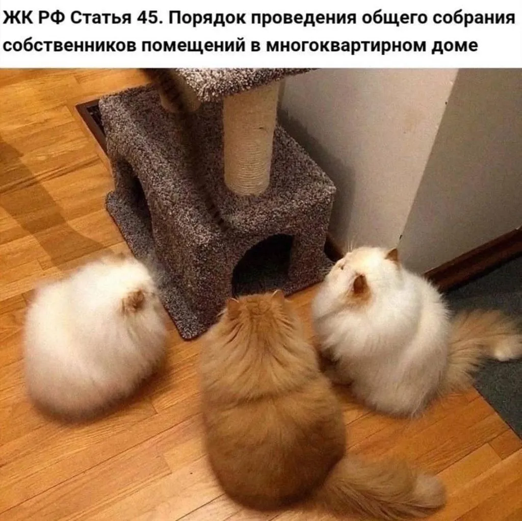 Посмеялся сам - поделись с другом!!!