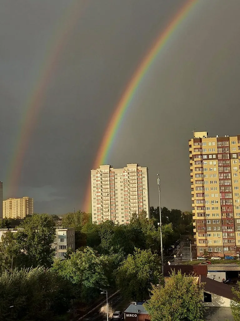 Tapтaлeтки & Ко