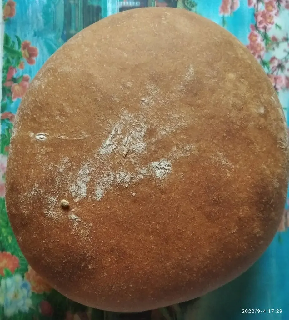 Tapтaлeтки & Ко