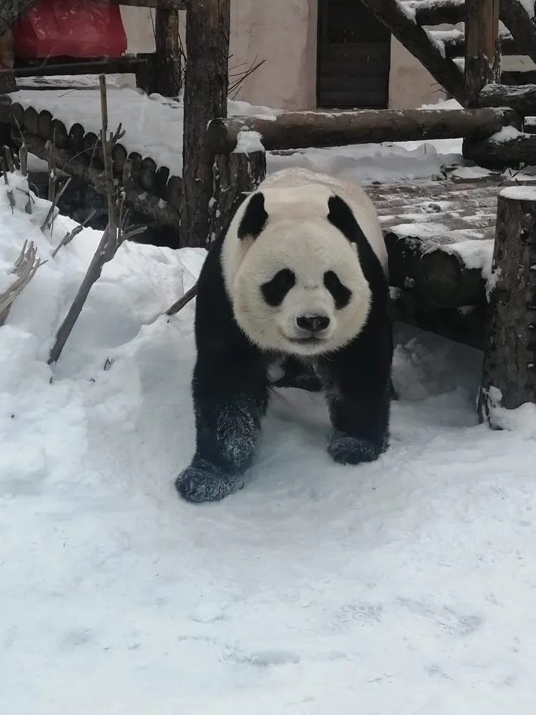 Посмеялся сам - поделись с другом!!!