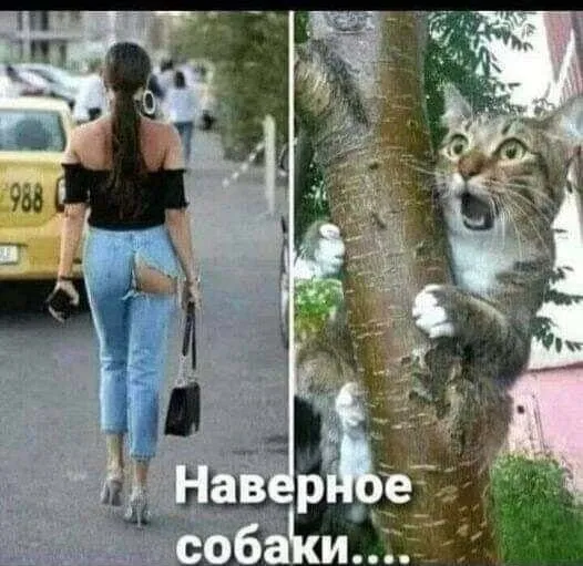 Посмеялся сам - поделись с другом!!!