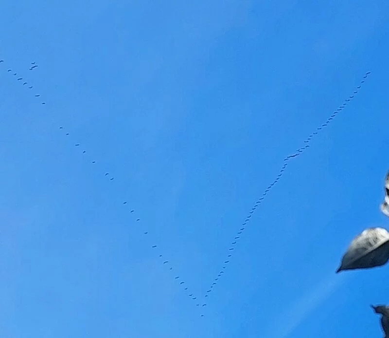 Такое разное небо