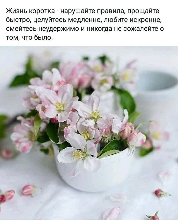 Кафе "У пани Сони"