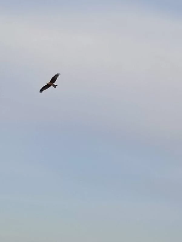 Фотонастроение