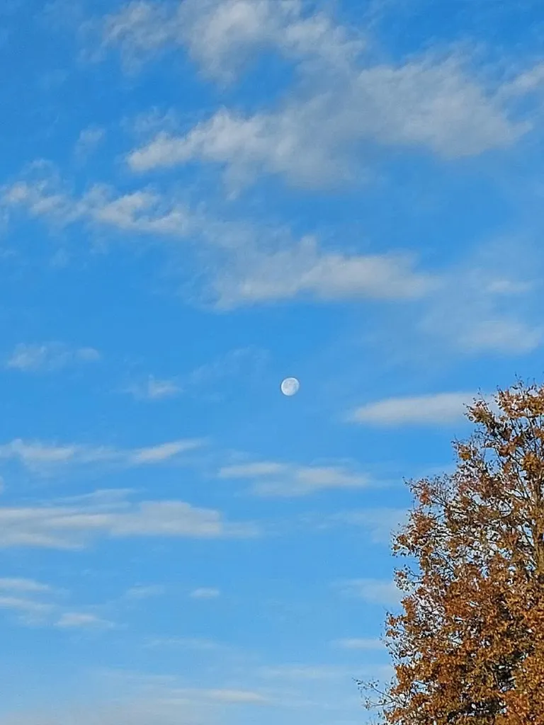 Такое разное небо