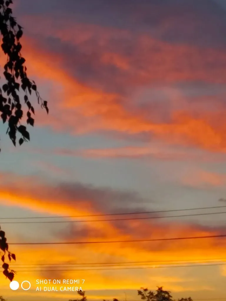 Такое разное небо