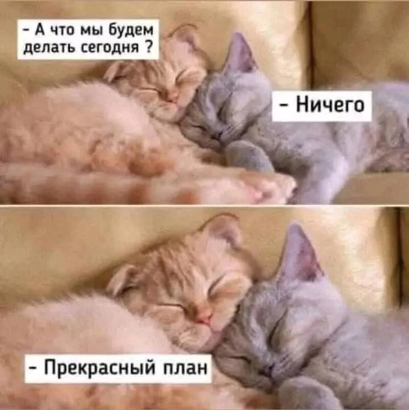 Кафе "У пани Сони"