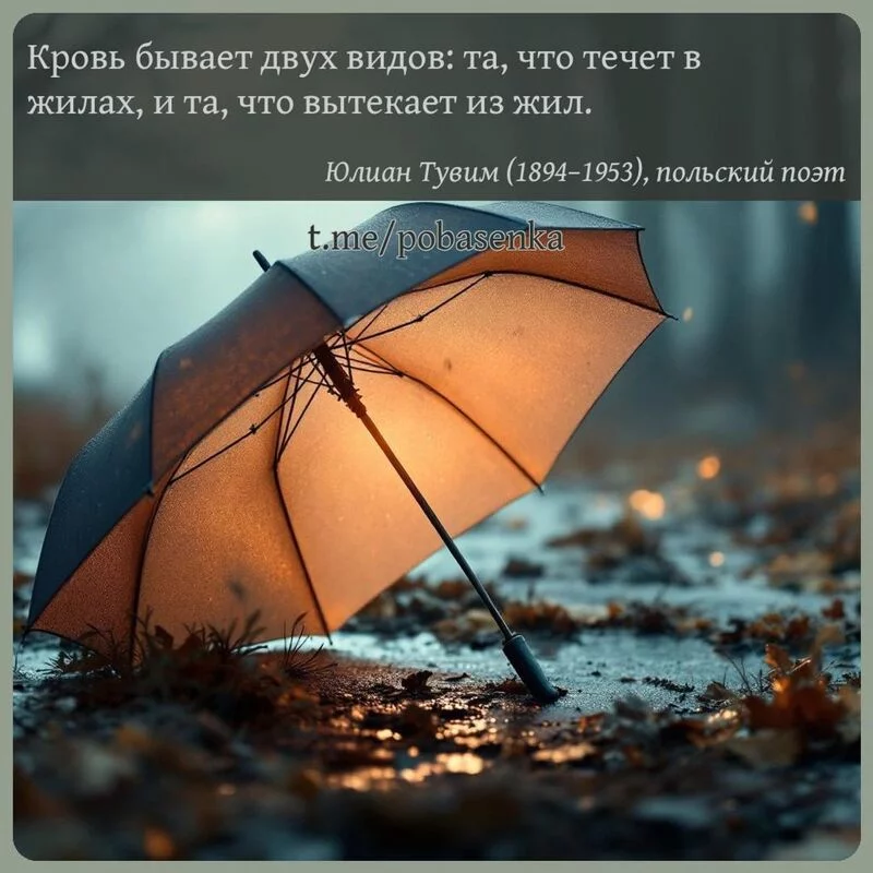 «Кровь бывает двух видов та, что течет в жилах, и та, что вытекает из...» height="550" width="550"