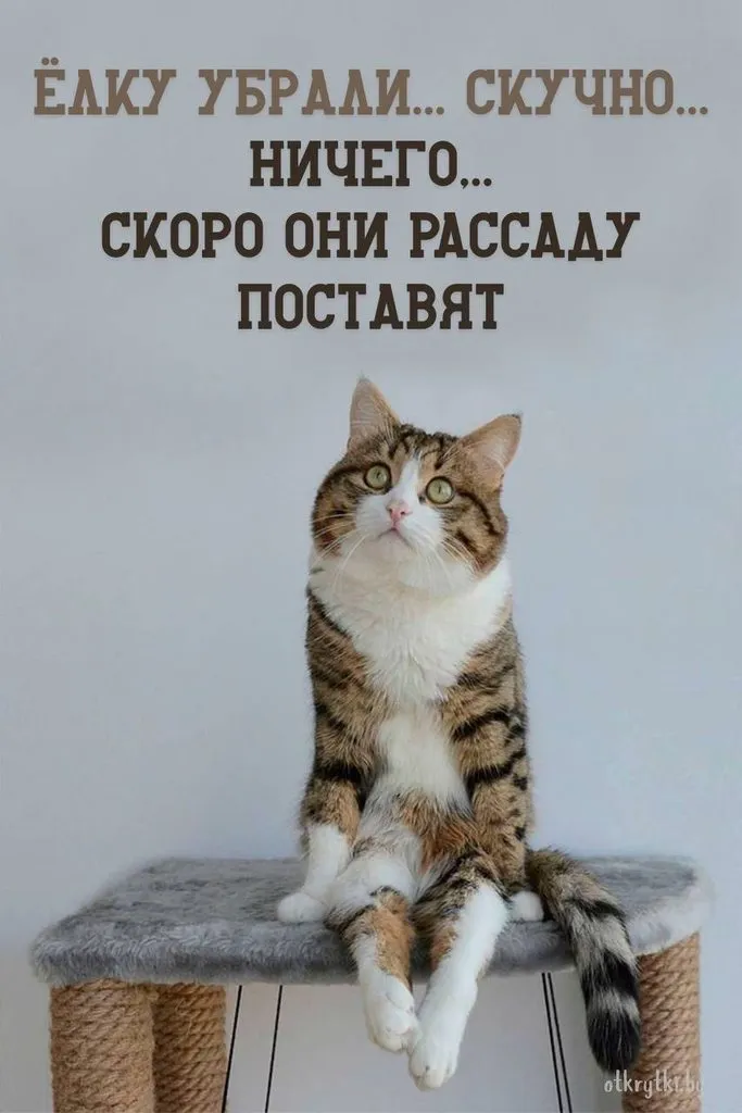 Посмеялся сам - поделись с другом!!!