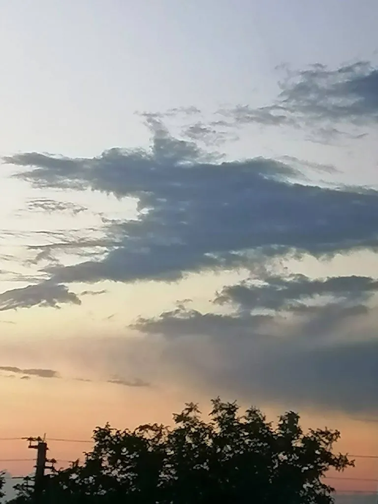 Чайная беседка