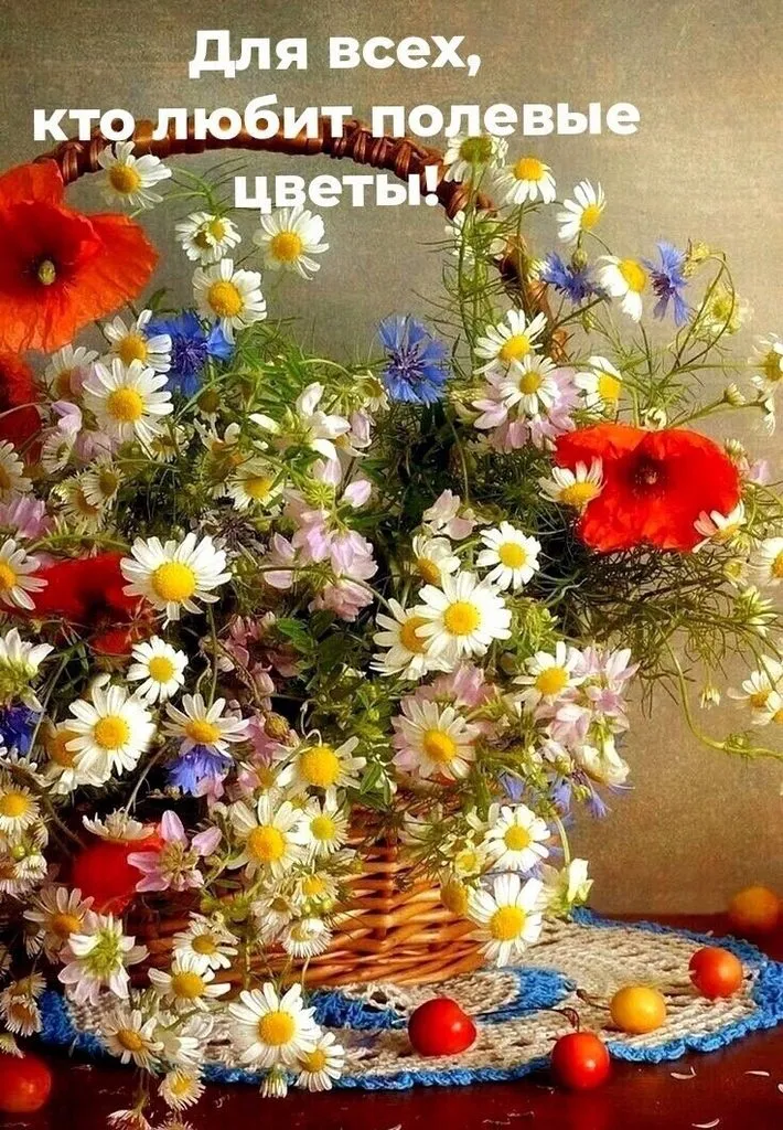 Кафе "У пани Сони"