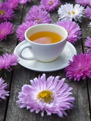 Чайная беседка