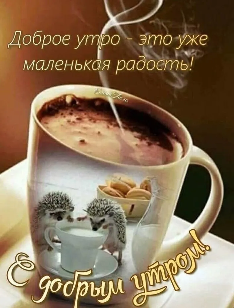Tapтaлeтки & Ко