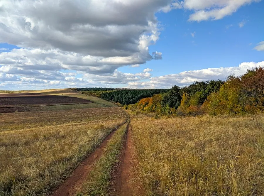 По грибы с лукошком