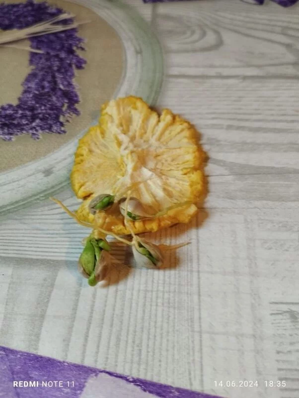 Чайная беседка