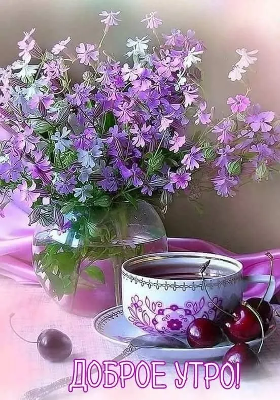 Чайная беседка