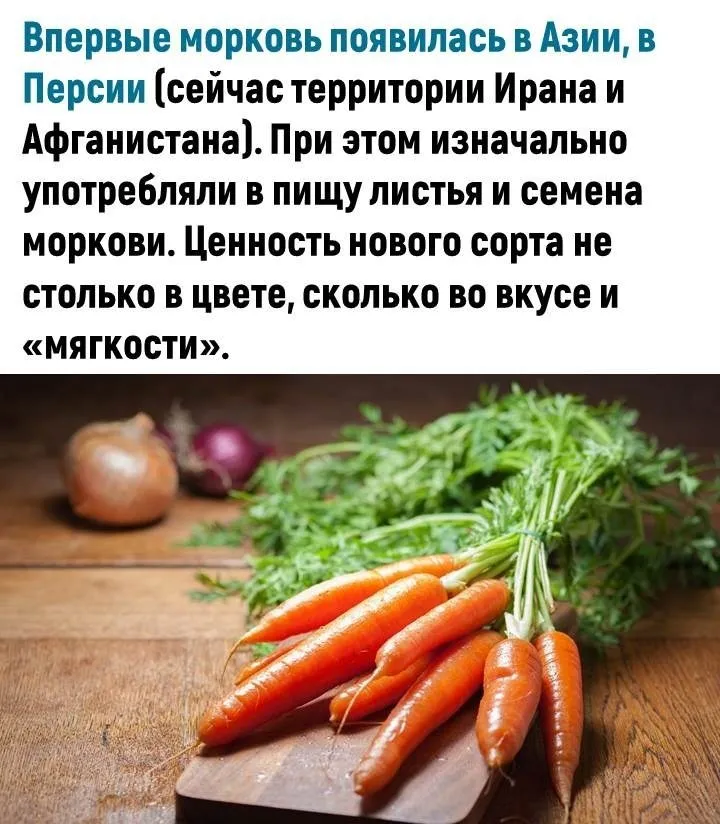 Это интересно!
