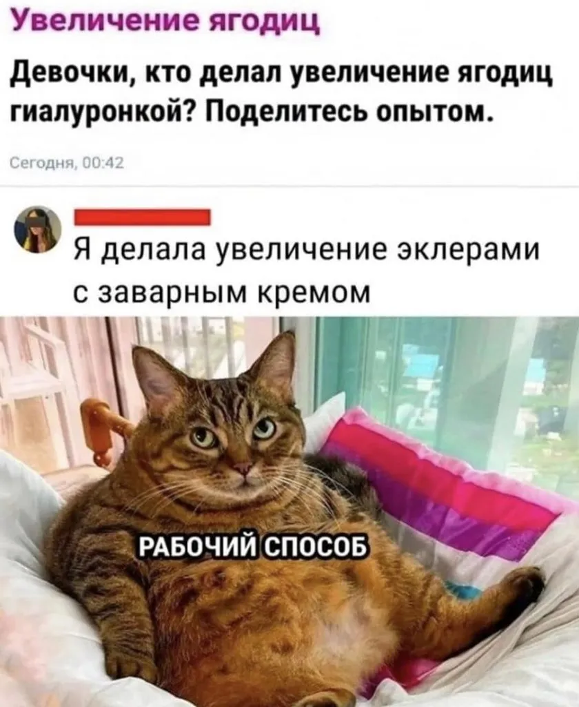 Кошичкина полиция