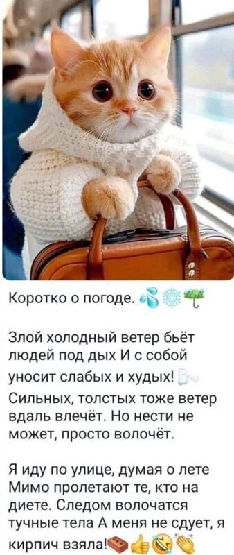 Кафе "У пани Сони"