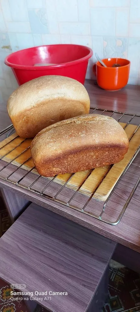 Tapтaлeтки & Ко