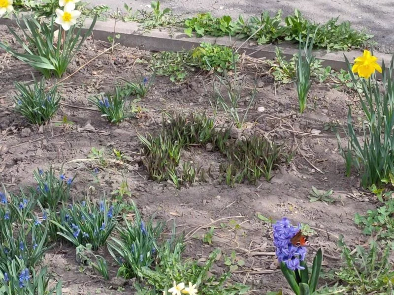 Чайная беседка