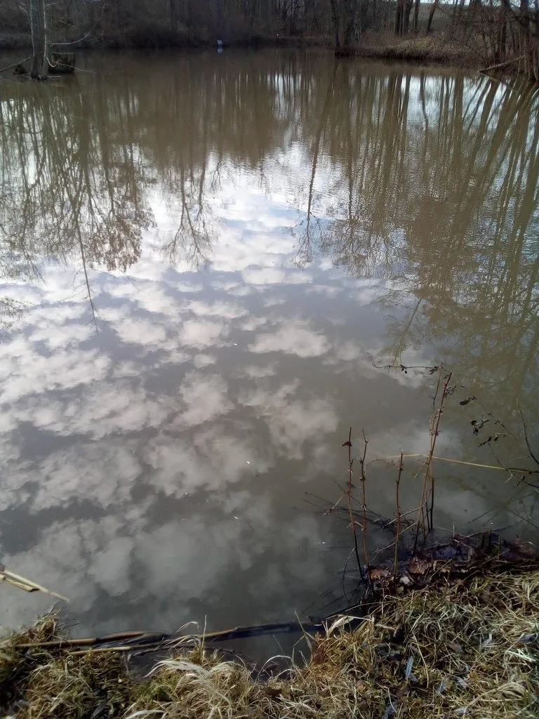 Чайная беседка