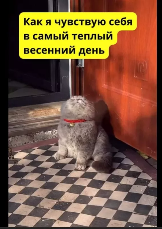 Позитивчик (фото, видео, рассказы для хорошего настроения)