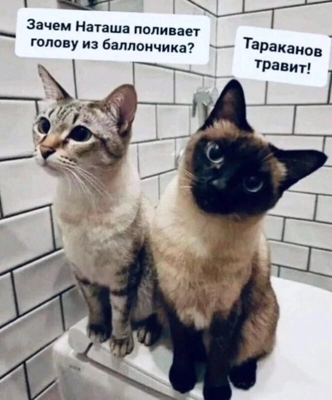 Посмеялся сам - поделись с другом!!!