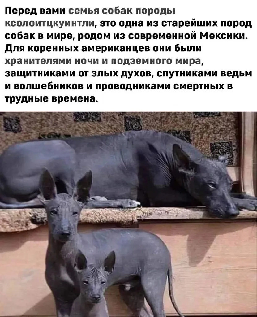 Это интересно!