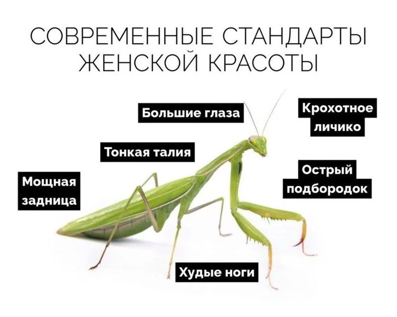Посмеялся сам - поделись с другом!!!