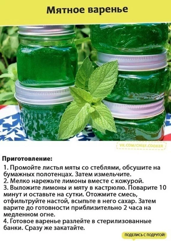 Кулинарная инфографика  в рецептах
