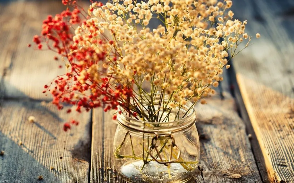 Кафе «У пани Сони»
