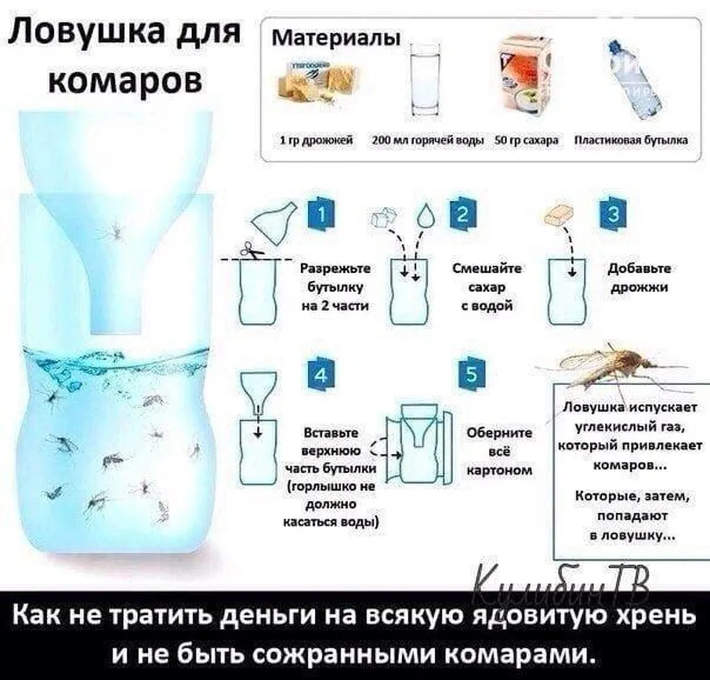 Садово-огородная  инфографика