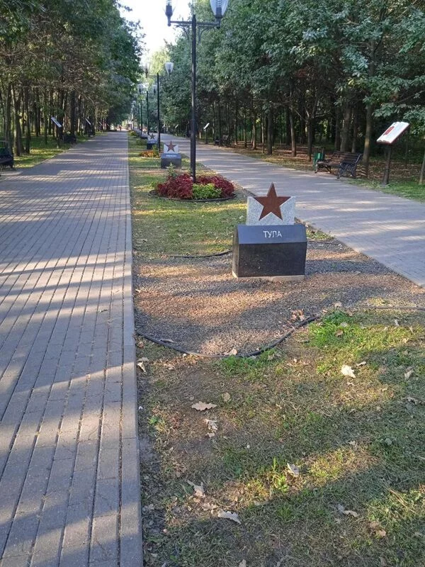 Tapтaлeтки & Ко