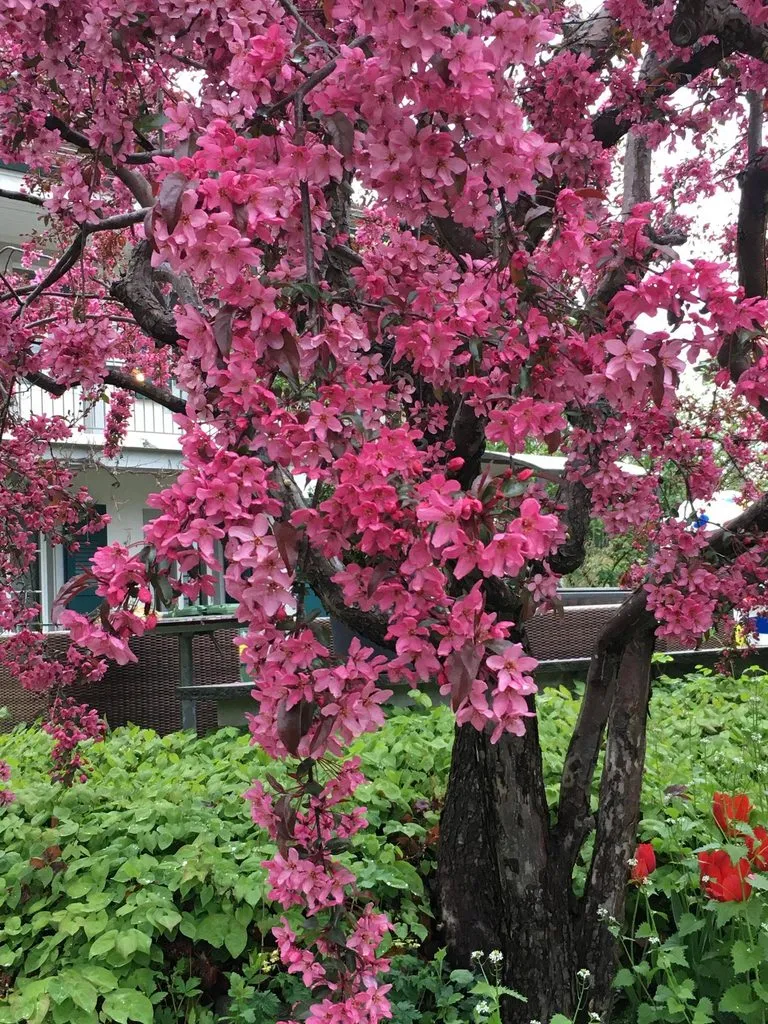 Фотонастроение