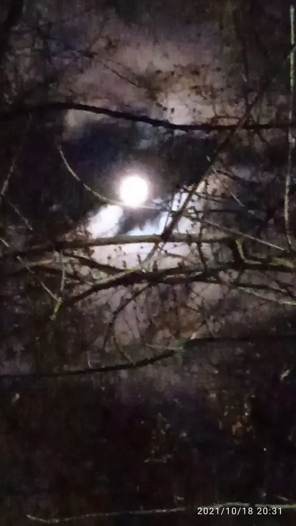 Tapтaлeтки & Ко