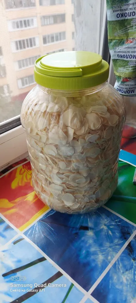 Tapтaлeтки & Ко