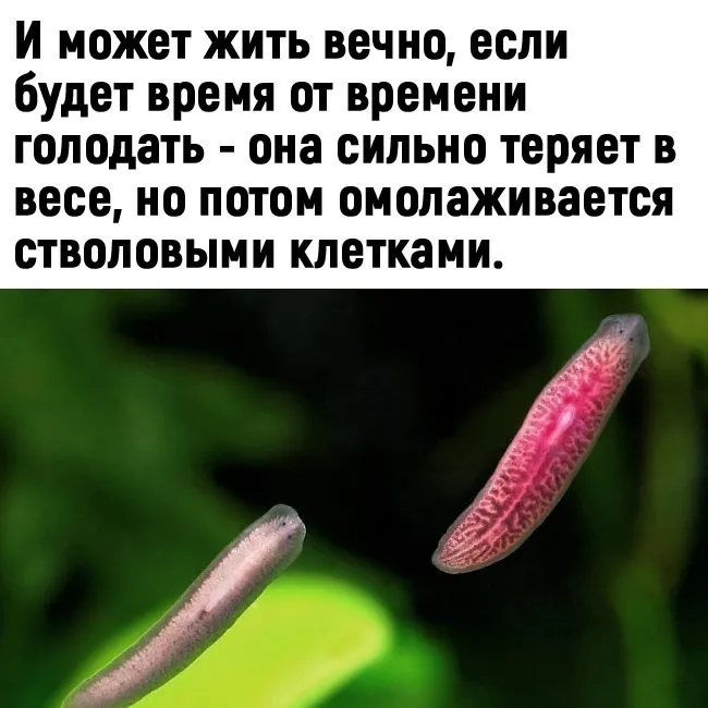 Это интересно!