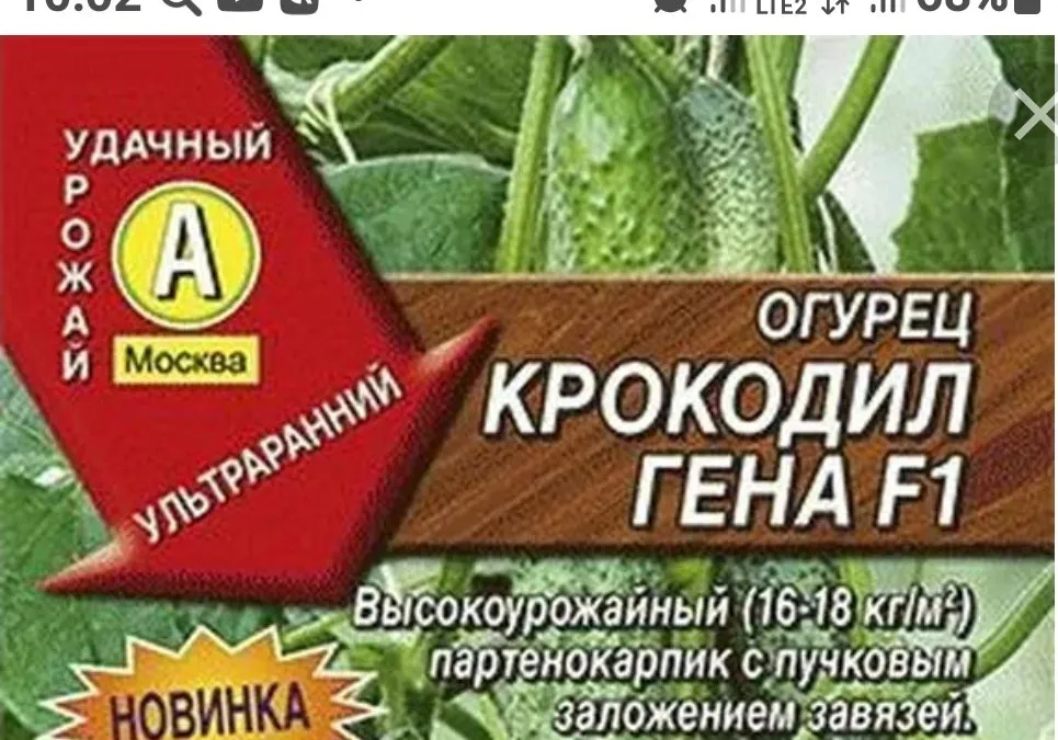 Tapтaлeтки & Ко