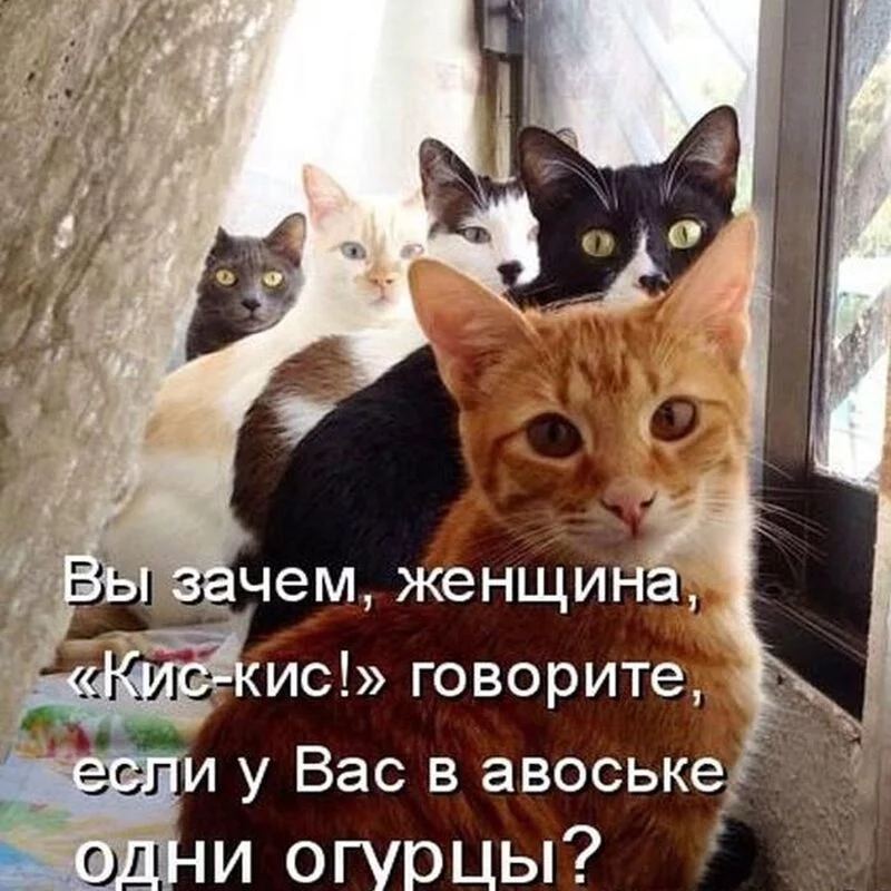 Посмеялся сам - поделись с другом!!!