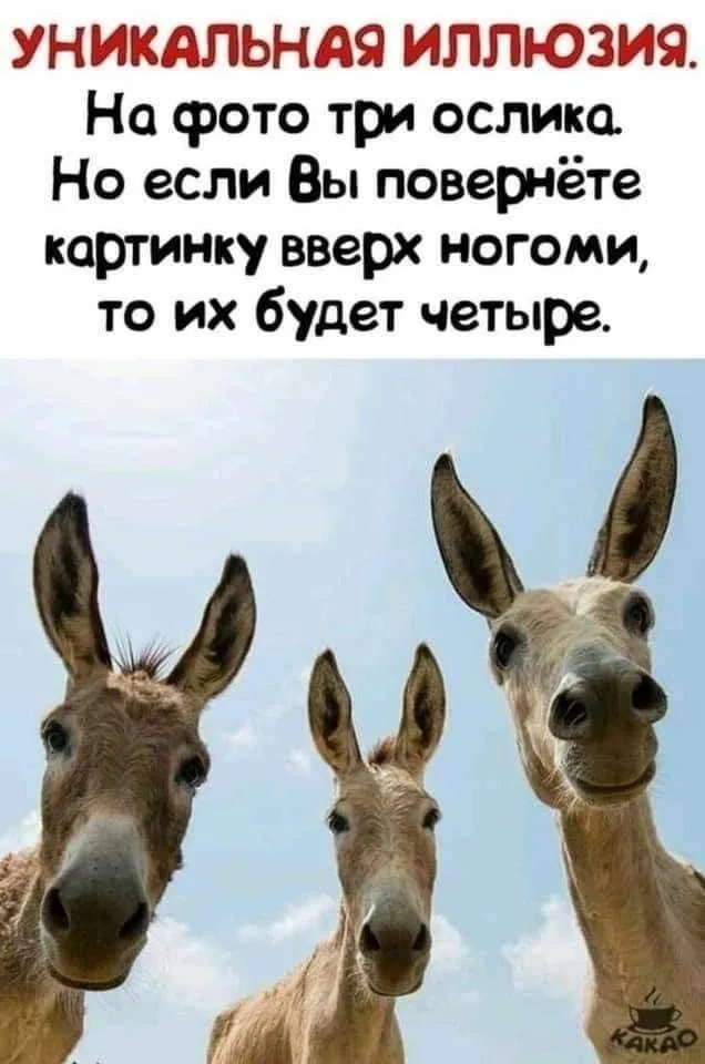 Посмеялся сам - поделись с другом!!!