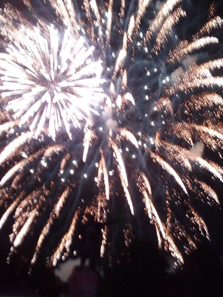 Tapтaлeтки & Ко