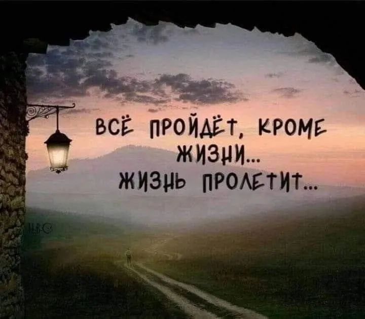 Лаконичная мудрость